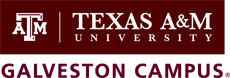 Texas A&M University at Galveston