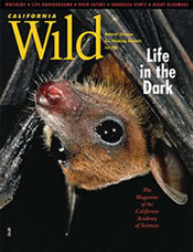 California Wild cover