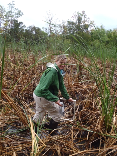 Allison in the Cattail