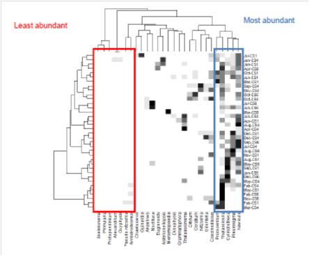 Cluster analysis