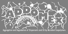 Aggregation and Degradation of Dispersants and Oil by Microbial Exopolymers (ADDOMEx)