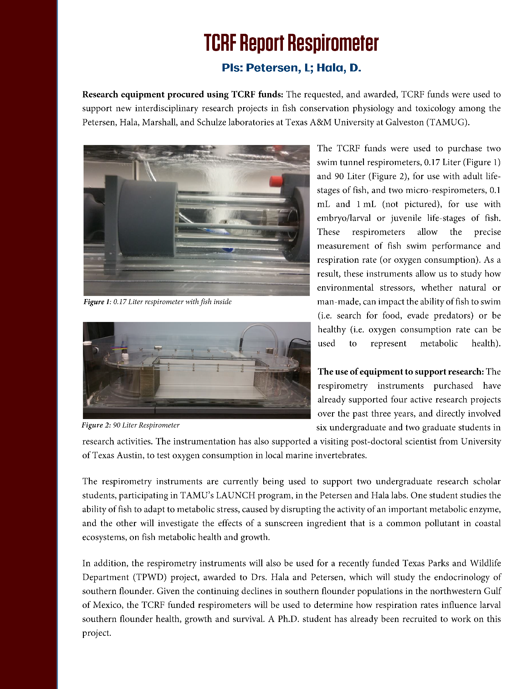 Petersen Project Updates Pg 1