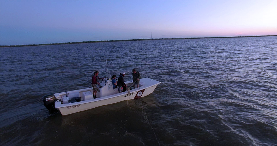 Wells Shark Biology and Fisheries Science Lab